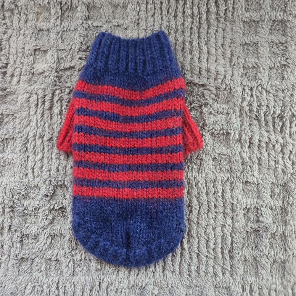 Striped Blue and Red Knit Dog Sweater